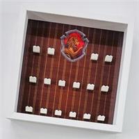 Display frame case for Lego Harry Potter Gryffindor minifigures 27cm 25cm