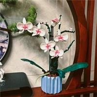*NEW* 10311 MOC Orchid Building Blocks 608pcs Botanical Collection Plant Gift
