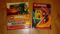 Lego Ninjago Lloyd Build Your Own Adventure + The Djinn Menace book & figure