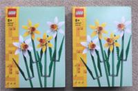 2x LEGO Botanicals: Daffodils (40747) NEW fast dispatch in box, Easter gift