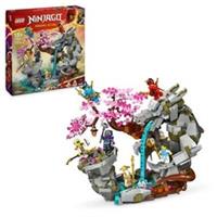 LEGO 71819 NINJAGO Dragon Stone Shrine Ninja with 6 Minifigures