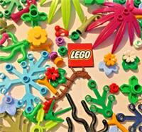 Lego PLANTS - Flowers, Leaves, Grass, Pumpkin, Carrot, Garden Pick Your Own Item