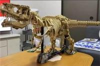 Jurassic Park (76968) Dinosaur Fossils: Tyrannosaurus Rex