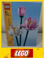 LEGO Botanicals Lotus Flowers: 40647 -- Brand New & Sealed --