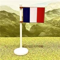 France National Flag LEGO* COMPATIBLE by BRICK FLAGS. Made UK