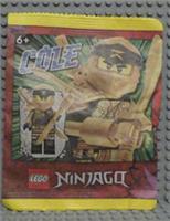 Lego Ninjago Cole Paper Bag (892295) NEW