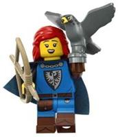 LEGO MINIFIGURES SERIES 24 FALCONER 71037