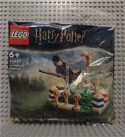 Lego Harry Potter Quidditch Practice Polybag (30651) NEW