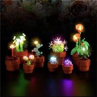 LED Light Kit for Lego 10329 Tiny Plants Cactus Creative Decor Lighting (LED)