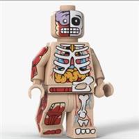 Custom LEGO Anatomy Guy Minifigure Skeleton Muscle Human Body Figure