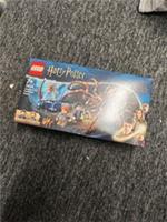 LEGO Harry Potter: Aragog in the Forbidden Forest (76434)New