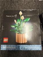 LEGO Botanicals Peace Lily (11504) New Sealed Box Damaged