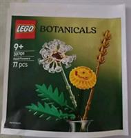 LEGO 30701 Botanicals Field Flowers Dandelions (Brand New and Sealed) In Stock