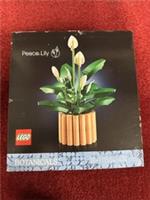 LEGO Botanicals : Peace Lily Flower 474 Pcs (11504)18+ Sealed Bit Scratch&damag