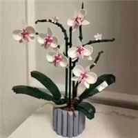 Build Blocks BOTANICAL - Orchid | 608pcs (10311) High Quality ABS Plastic Kit