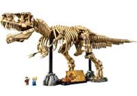 T- Rex Dinosaur Skeleton Replica - Modelex Building Block Set