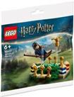 Harry Potter LEGO Polybag Set 30651 Quidditch Practice Rare Collectable