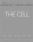Molecular Biology of the Cell by Walter, Peter Paperback Book The Cheap Fast