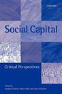 Social Capital: Critical Perspectives Paperback Book The Cheap Fast Free Post