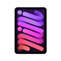 Apple iPad mini 8.3 Inches 512GB WiFi 2024 Purple