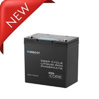 Renogy 100Ah 12V Lithium Battery LiFePO4 Mini Size 5000+ Deep Cycle BMS for RV