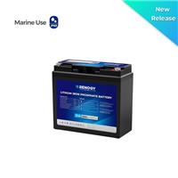 Renogy 20Ah 12V LiFePO4 Lithium Battery w/BMS IP65 for Trolling Motor and Marine