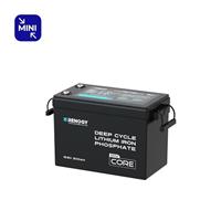 Renogy 200Ah 12V LiFePO4 Lithium Leisure Battery 5000+ Cycles BMS for Off-grid