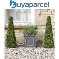 2 x Smart Garden Boxwood Topiary Obelisk 60cm Decorative Artificial 5045030