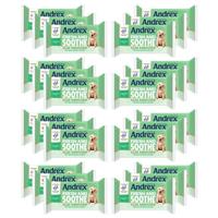 Andrex Washlets Ultra Care Biodegradable & Flushable Toilet Wipes, 24 Pack