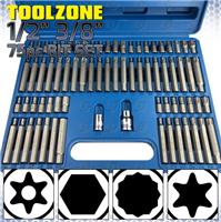 74pc Special Bit Set Hex / Spline / Ribe / Star Torx / Tamperproof Bits