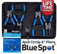 BlueSpot
