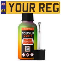 Touch Up Paint Mixed By Car Registration Reg 30ml Stone Chip Brush Chip Mark