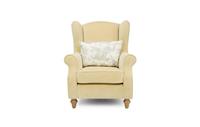 DFS Chepstow Honey Chenille Self Piped Wing Chair RRP £629