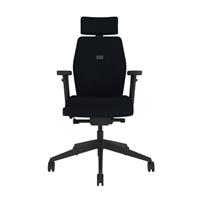 Posturite Positiv Plus Medium Back Ergonomic Office Chair - Black RRP &pound;1041