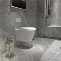 Rimless Wall Mounted Toilet Bathroom White Soft Close Seat Short Projection WC