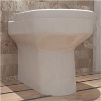 Back To Wall Toilet Ceramic Cloakroom Soft Close Seat Bathroom Modern WC White