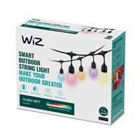 WiZ 48ft Smart LED Outdoor String Lights WiFi RGB Garden Party IP65 Alexa Google