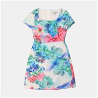 Coast Dress / Size 6 / Knee Length / Womens / Multicoloured / Cotton Blend - 6 Regular