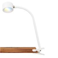 Desk Lamp LED Reading Light Clamp Cordless USB C Rechargeable Flexible 3W White