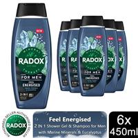 6x Radox Mineral Therapy Feel Energised 2in1 Shower Gel & Shampoo for Men, 450ml