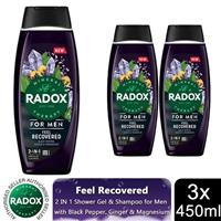 3x Radox Mineral Therapy Feel Recovered 2in1 Shower Gel & Shampoo for Men, 450ml