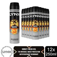 Lynx XXL Sunset Fresh Anti Perspirant Body Spray 250ml 12 Pack Mens Deodorant - Regular Regular