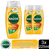 3xRadox Mineral Therapy Shower Gel Feel Revived w/ Mandarin&apricot Scent, 225ml