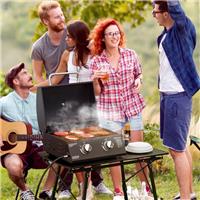 2 Burner Folding Tabletop Gas BBQ Grill w/ Lid, Thermometer, Carbon Steel