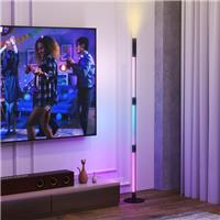 LED Floor Lamp with Reading Light, Corner Floor Lamp with App & Remote Dark Grey