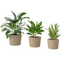 Outsunny Seagrass Plant Pots Flower Planters Bohemian Style Set of 3 Natural