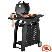 Outsunny 2 Burner Gas Grill, 3.8 KW Barbecue Grill with Cast Iron Grates