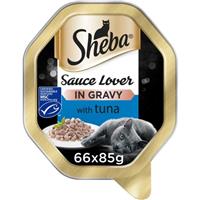 66 x 85g Sheba Sauce Lover Adult Wet Cat Food Trays Tuna in Gravy