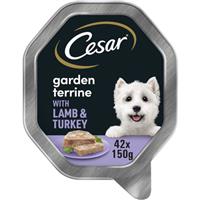 42 x 150g Cesar Garden Terrine Adult Wet Dog Food Trays Lamb & Turkey In Loaf