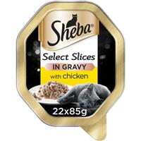 22 x 85g Sheba Select Slices Adult Wet Cat Food Trays Chicken in Gravy